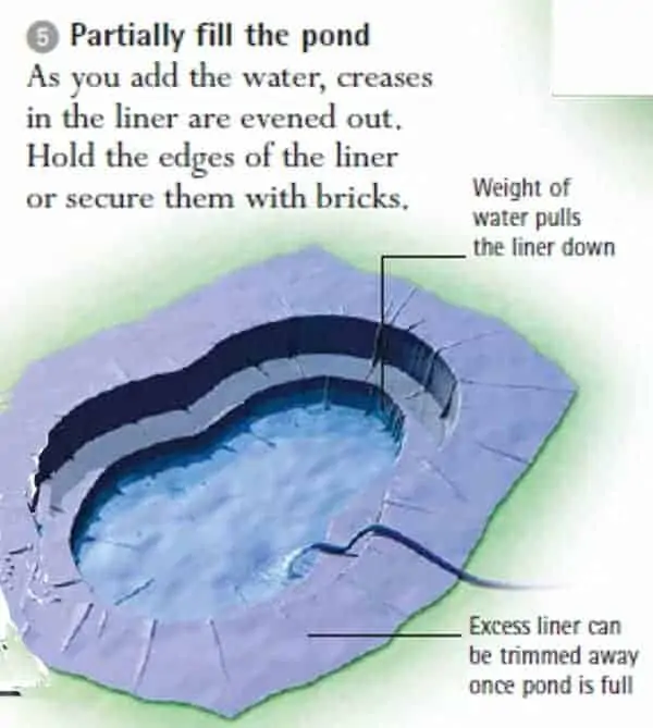 koi pond construction guide