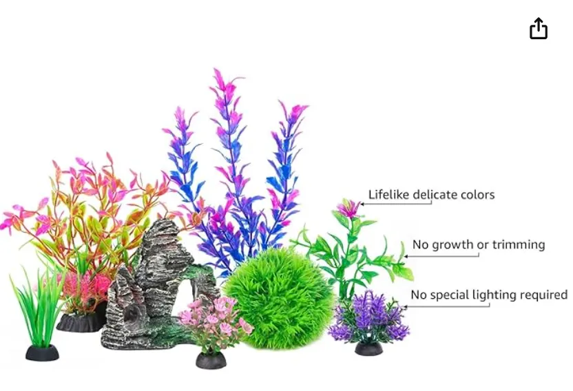 Best Plants for Your Goldfish Tank