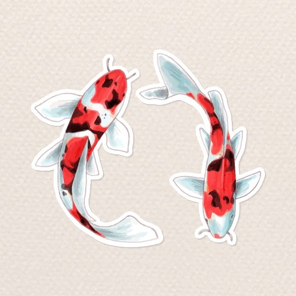 2 koi fish meaning