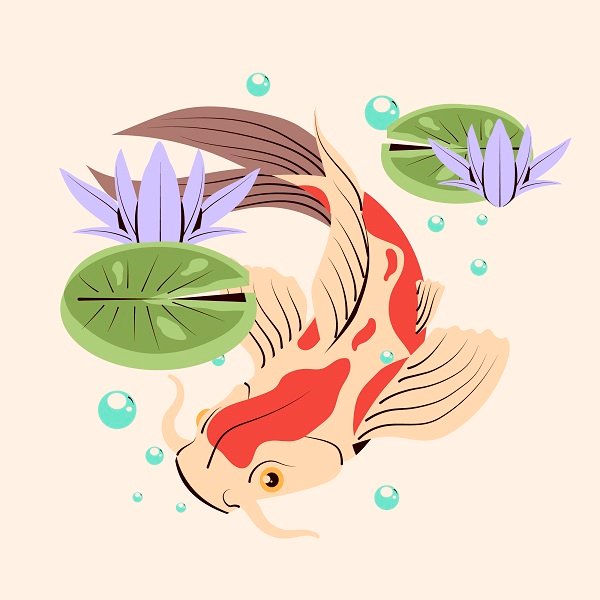 cool koi fish