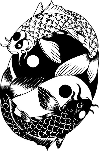 black and white koi fish meaning