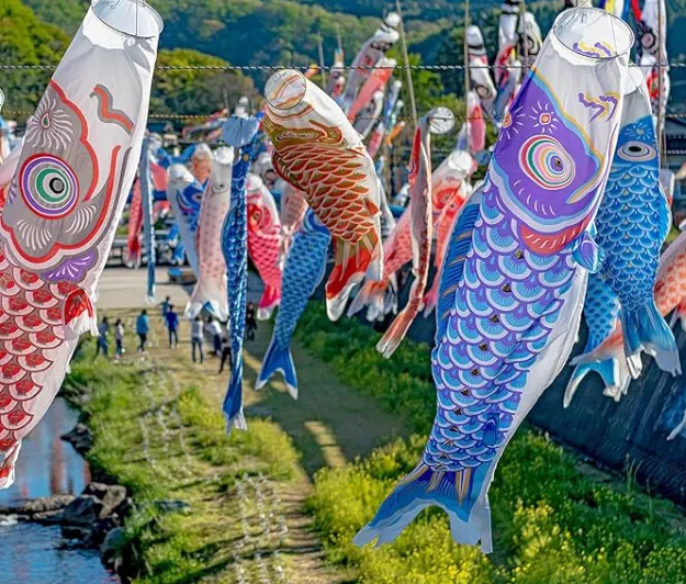 koi fish flags