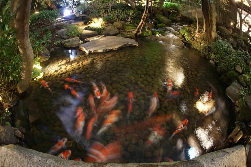 Zen Garden Koi Pond  koi pond landscaping ideas