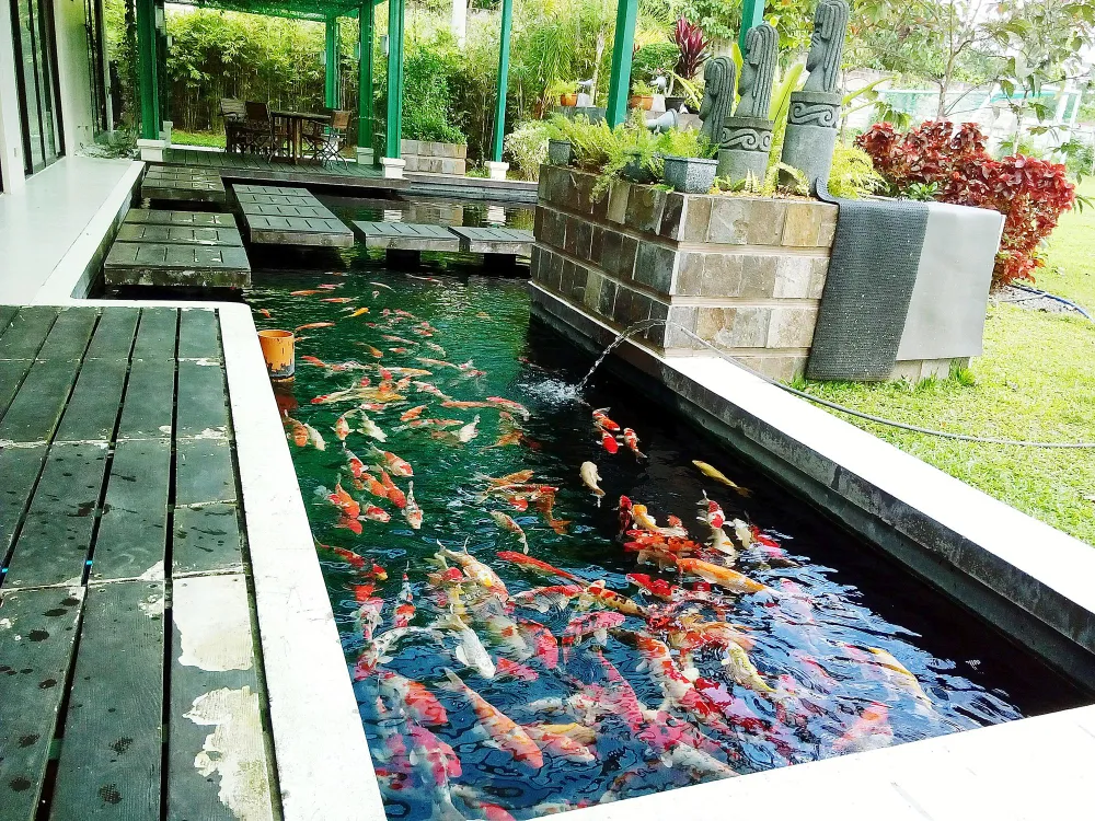 koi pond ideas 1