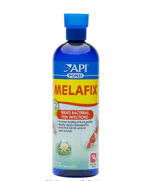 API Pond Melafix 16oz antibacterial treatment for koi — treats ulcers, fin rot, anchor worm wounds and bacterial infections