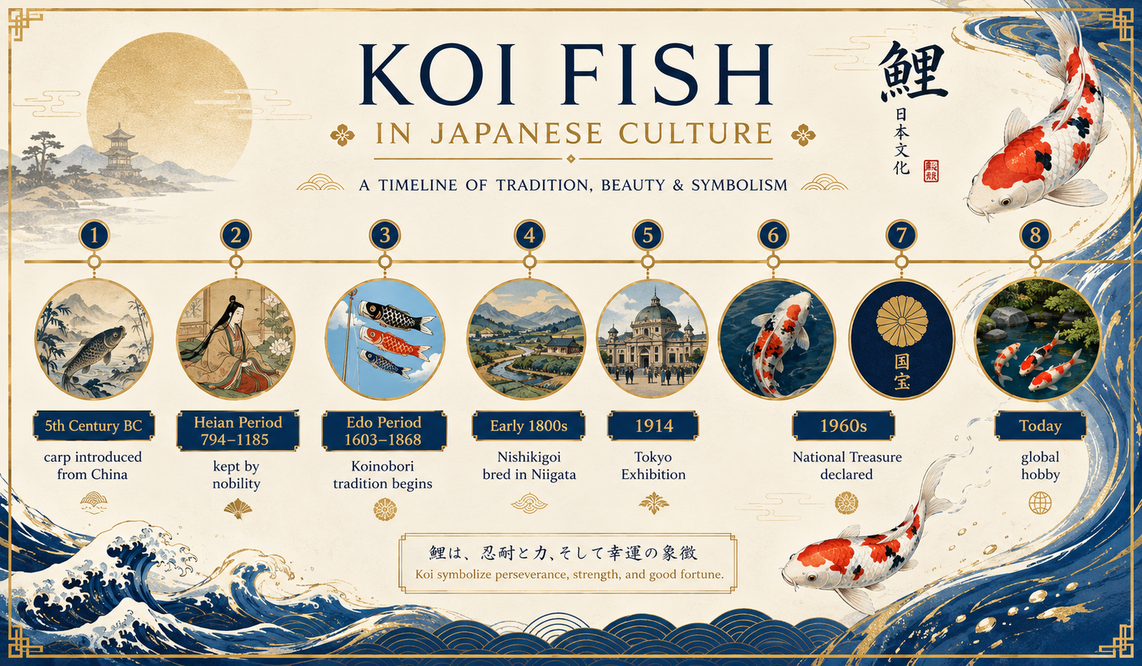 Koi fish in Japanese culture — history timeline from ancient origins to national treasure, Nishikigoi culture in Japan