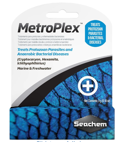 Seachem MetroPlex metronidazole — internal bacterial antibiotic for dropsy, Aeromonas and ulcer treatment in koi