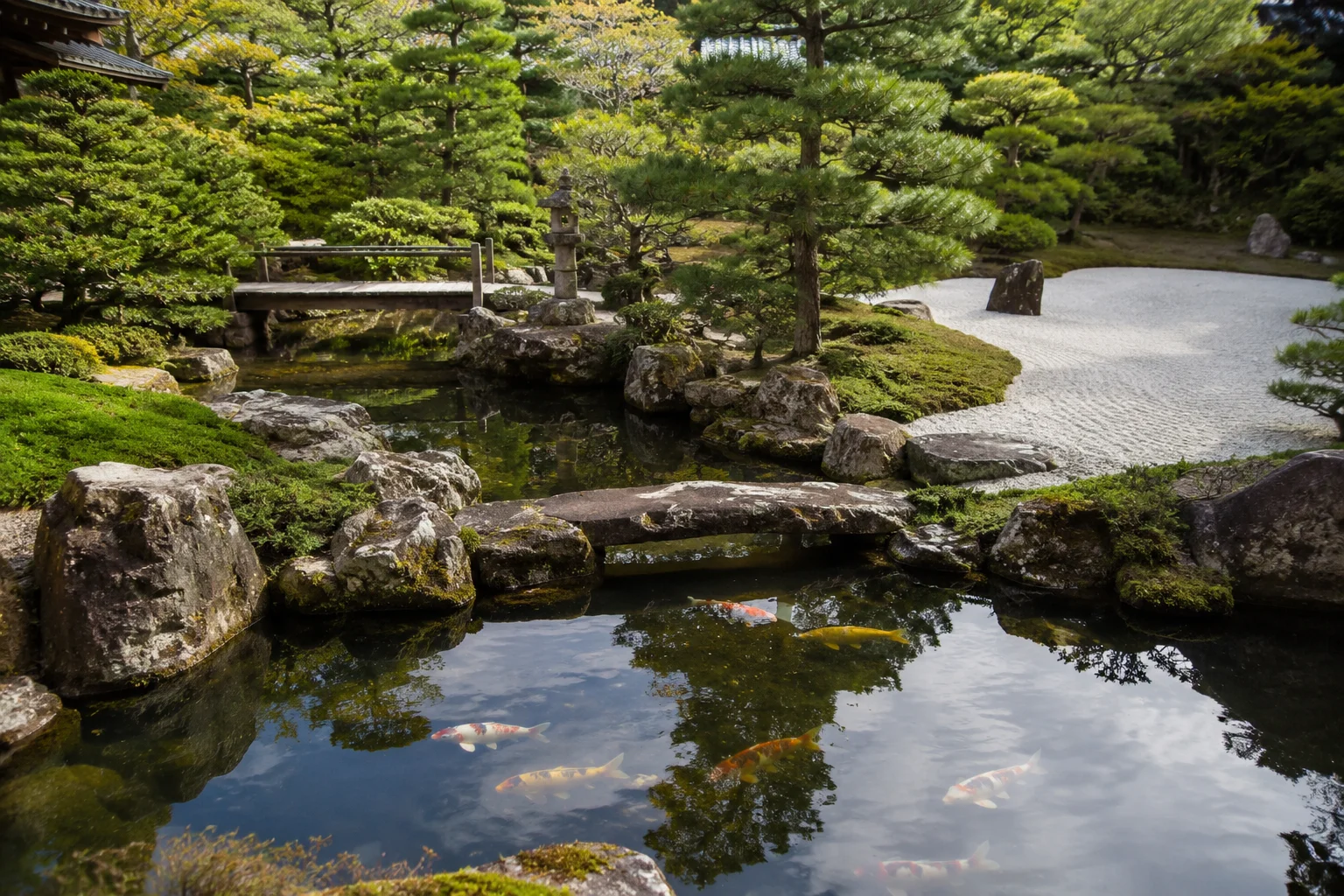 Zen garden koi pond tranquility