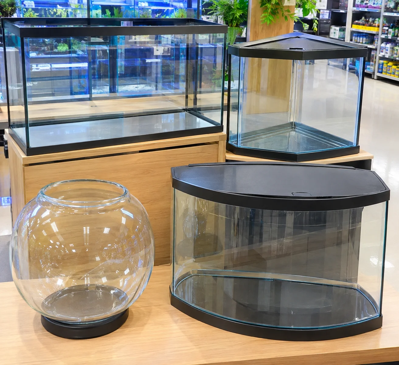 The Main Criteria for Choosing an Aquarium 9 Comparison of rectangular, triangular, round, and panoramic aquarium shapes