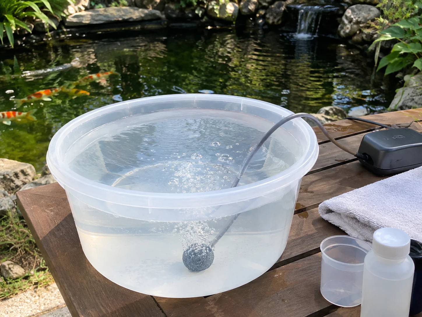 Prepared anesthesia bath bowl with air stone ready for koi sedation
