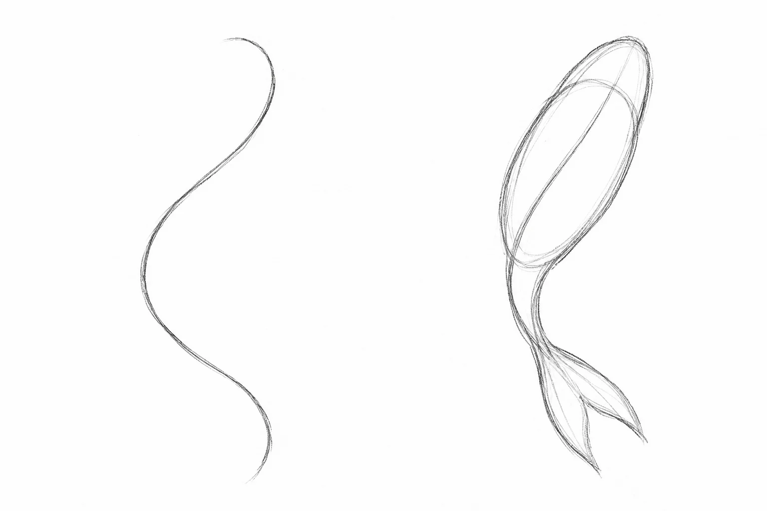 Gesture line technique for drawing a koi fish, from a simple curved line to the basic body shape