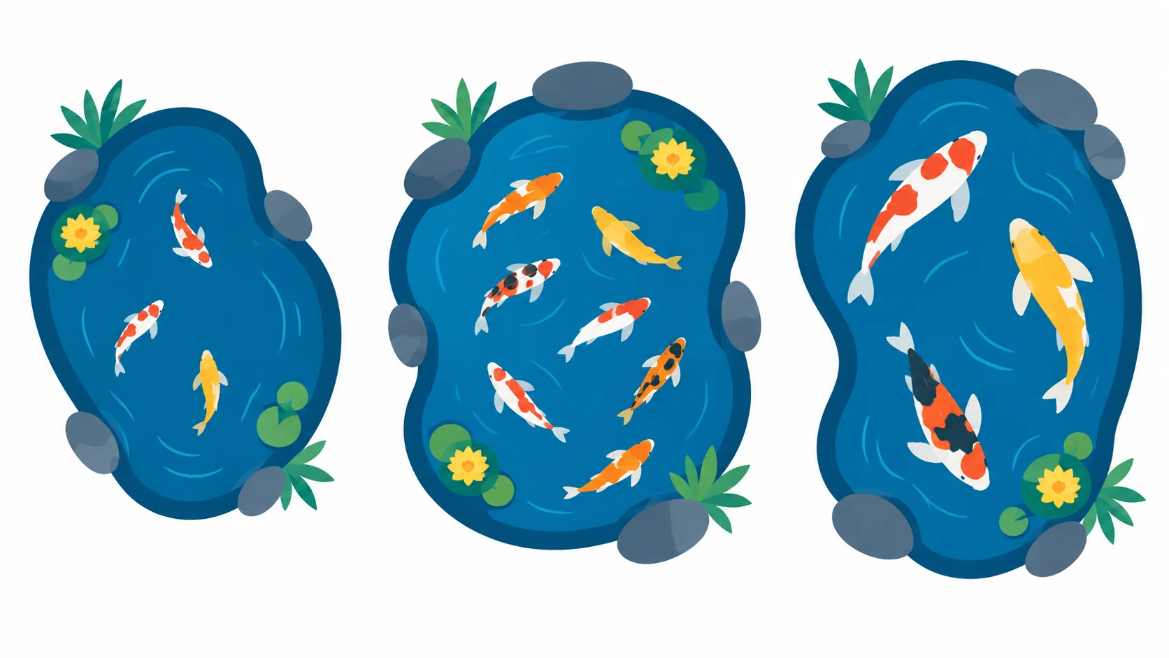 Comparing koi stocking rules: inches per gallon vs gallons per adult koi