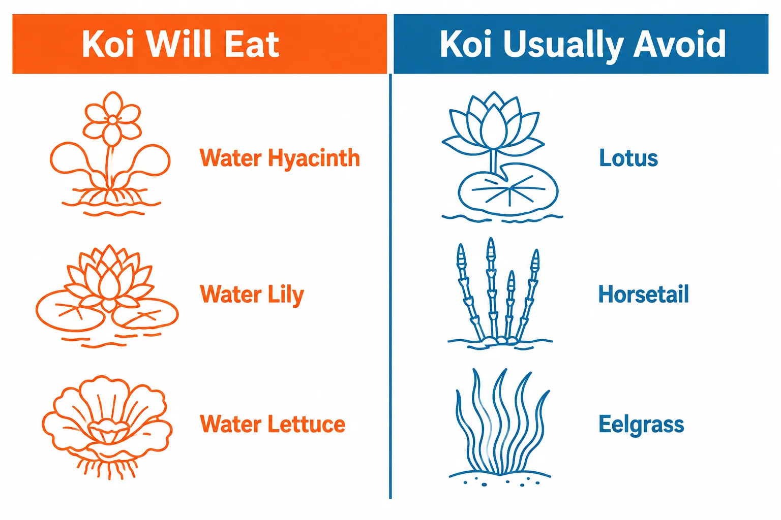 Best Plants for Koi Ponds: 7 Species by Category (+ What Koi Won't Eat) 29 koi pond plants eaten versus koi safe chart