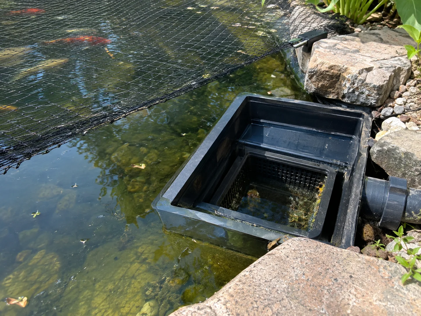 Pond skimmer installed at the water's edge with predator netting nearby