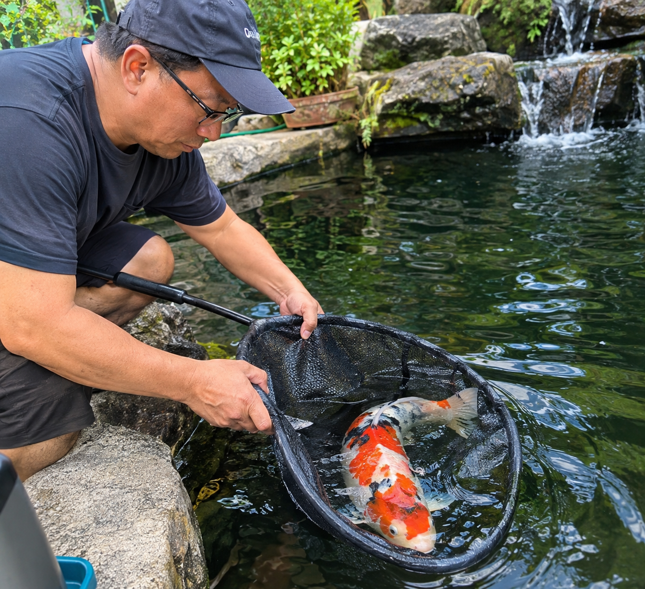 Giovanni Carlo Bagayas catching a koi fish with a sock net
